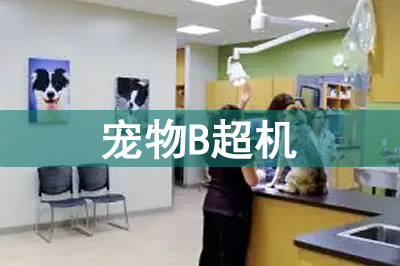 寵物b超機(jī)價(jià)格多少錢(qián)一臺(tái)？寵物B超為什